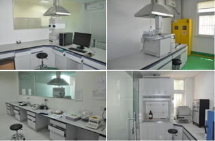 技术服务 顺时代大势，铸发展新篇