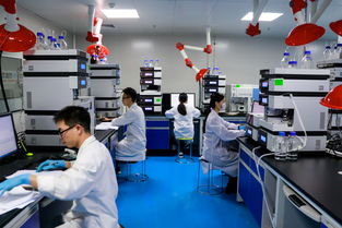 汇标检测获评2019年耕地质量标准化实验室，助力现代农业发展