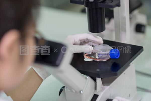 显微镜下的精微世界 技术人员如何通过试样检测保障质量